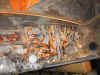 enginebay1.JPG (167947 bytes)