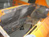 enginebay2.JPG (116410 bytes)